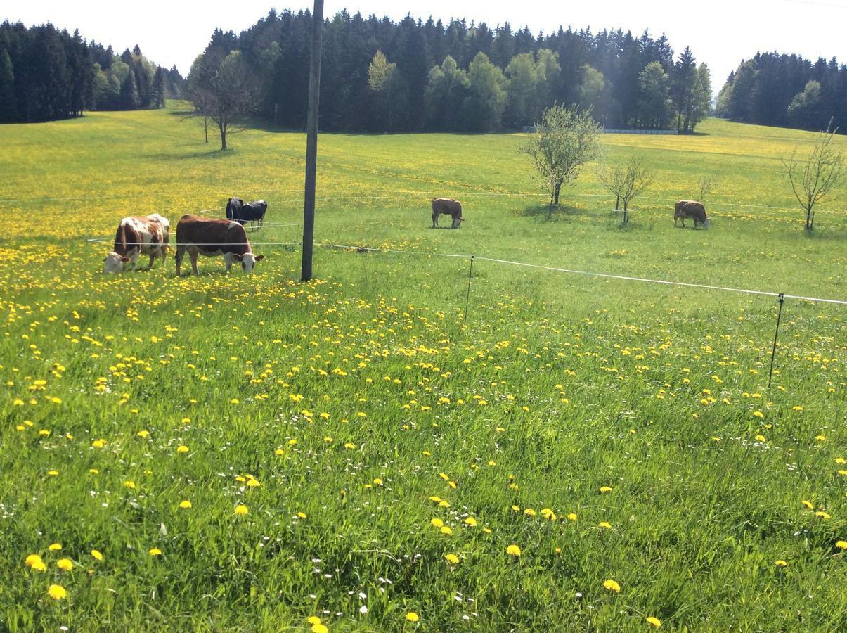 Helfenberg Ferienbauernhof Kollerヴィラ エクステリア 写真