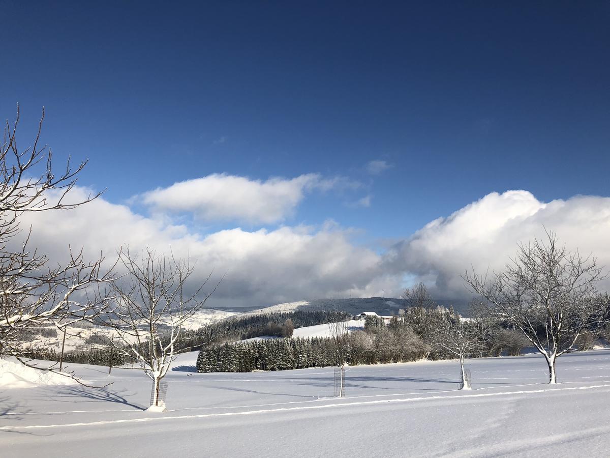 Helfenberg Ferienbauernhof Kollerヴィラ エクステリア 写真