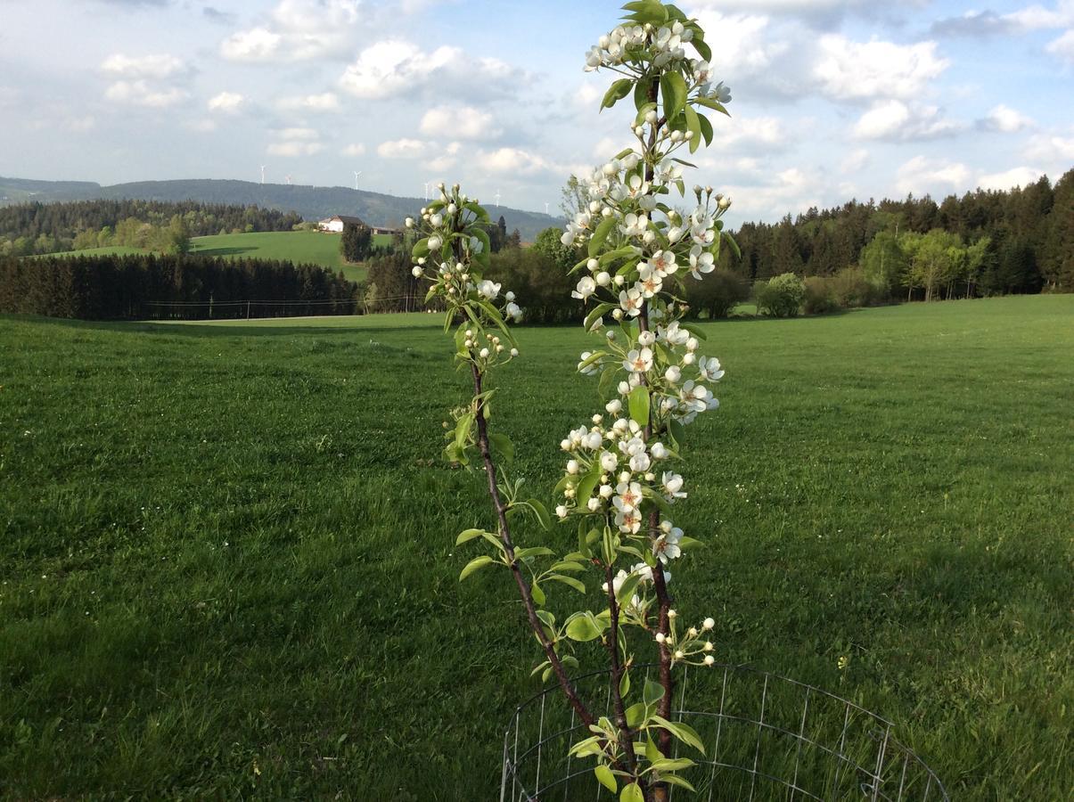 Helfenberg Ferienbauernhof Kollerヴィラ エクステリア 写真