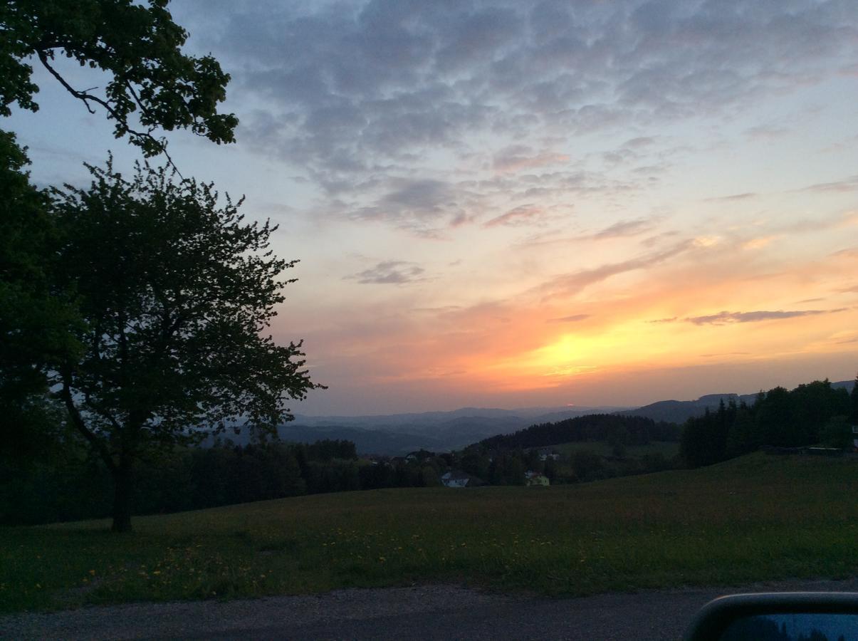 Helfenberg Ferienbauernhof Kollerヴィラ エクステリア 写真