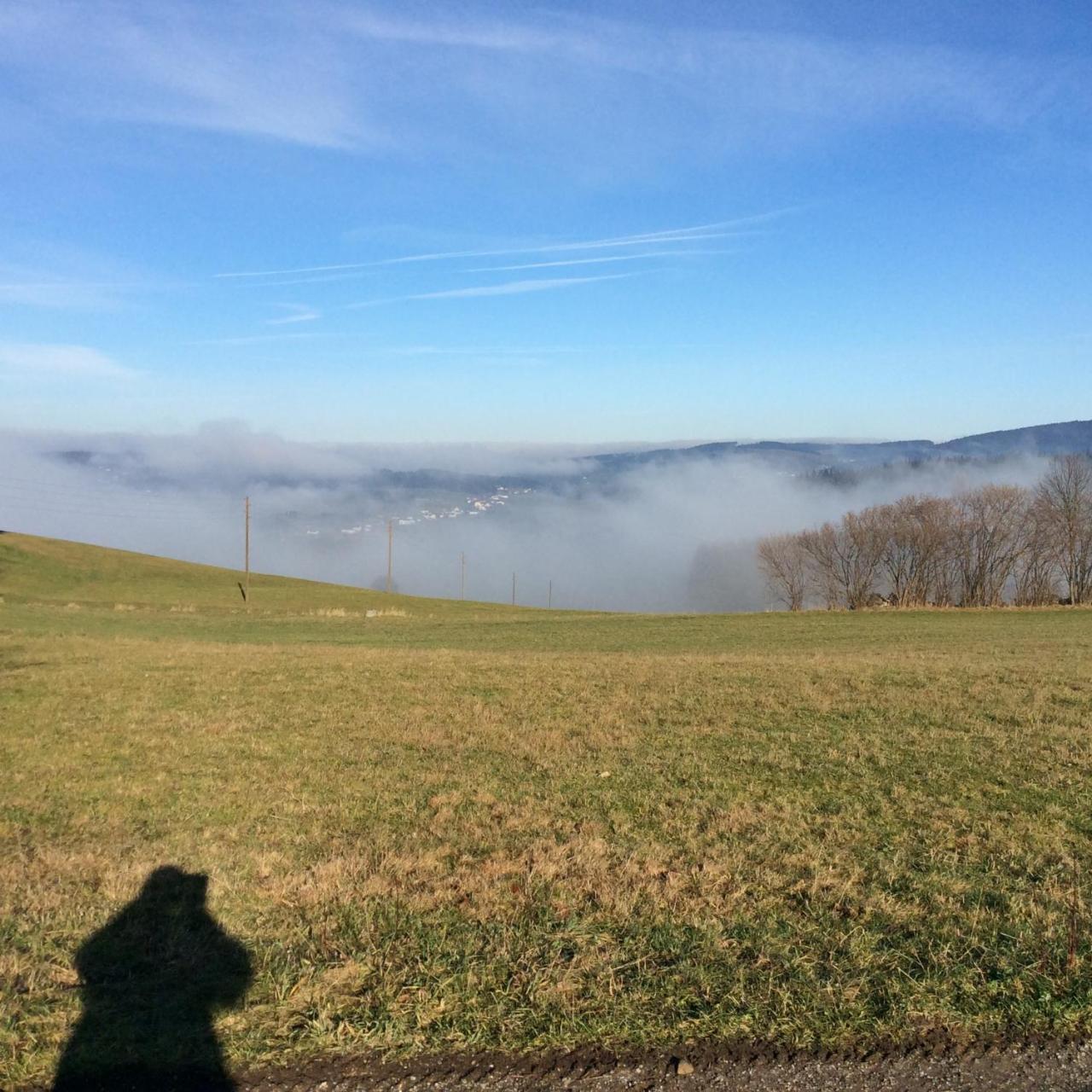 Helfenberg Ferienbauernhof Kollerヴィラ エクステリア 写真