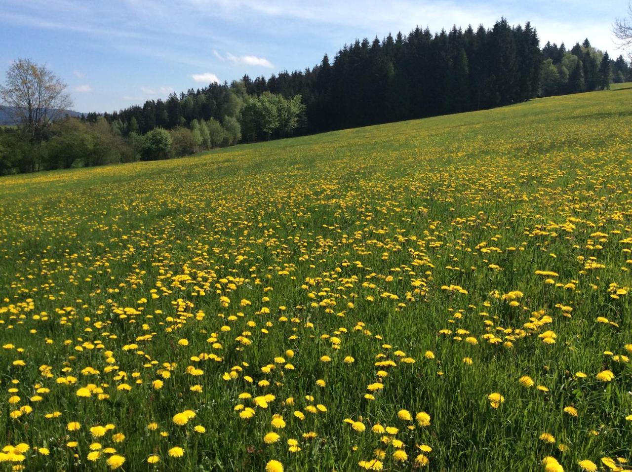 Helfenberg Ferienbauernhof Kollerヴィラ エクステリア 写真